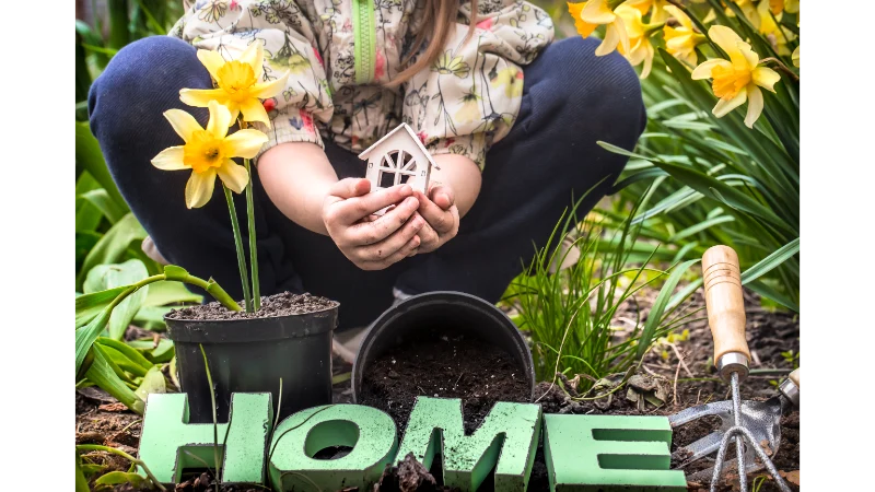 Ultimate Guide to Smarter Living: Practical Home Advice for Every Household