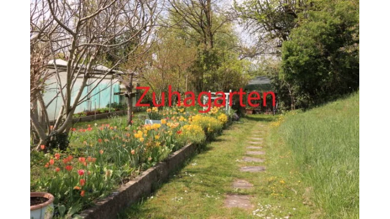 Zuhagarten: The Ultimate Guide to Creating Your Personal Home Garden Sanctuary